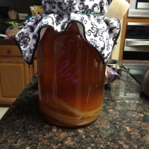 kombucha brew